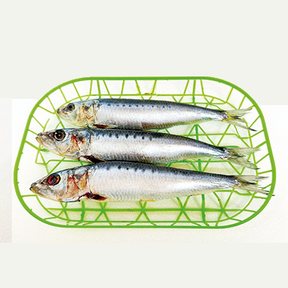 房州産 いわし丸干し 房州産 いわし丸干し