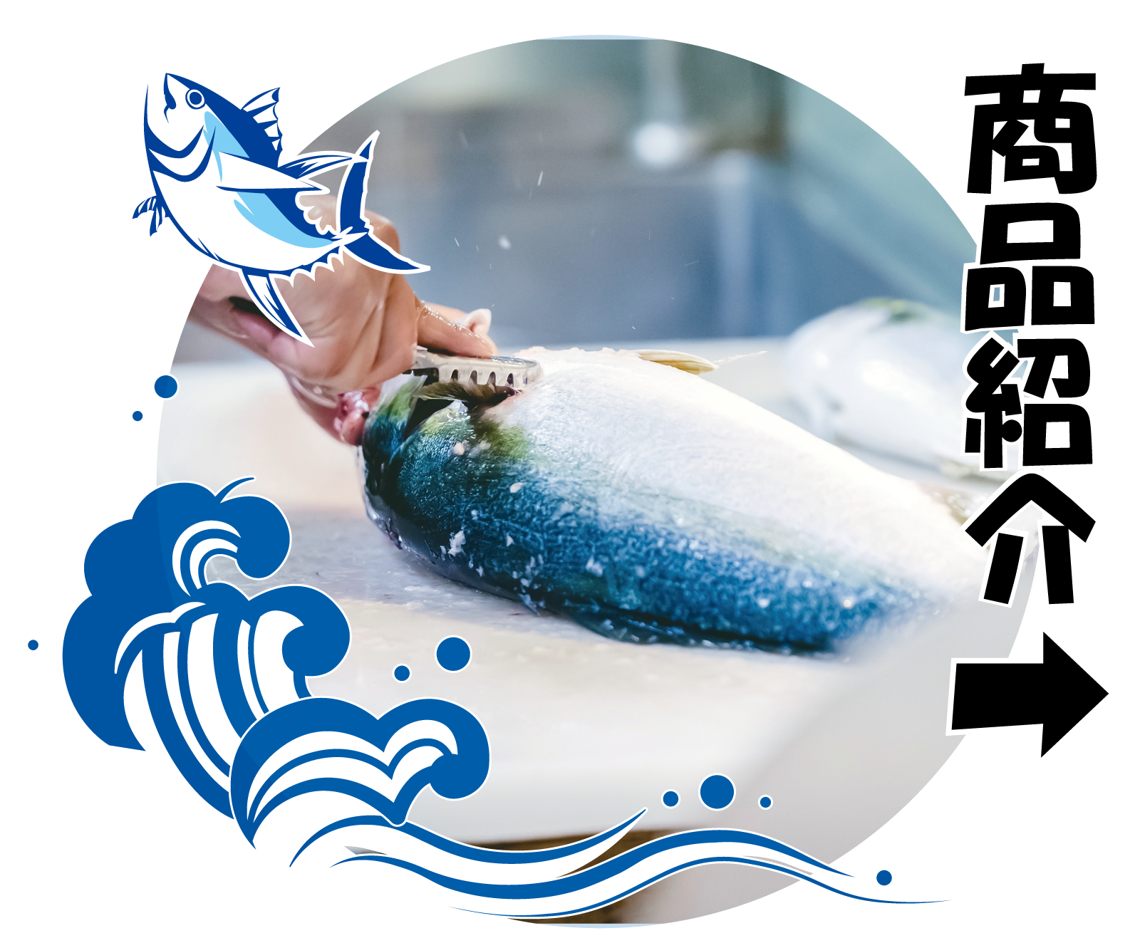 商品紹介：バナー