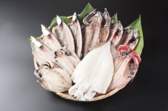 ひものBセット ひものBセット